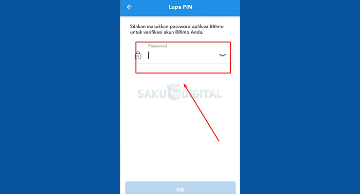 5 Masukan Password Login BRImo