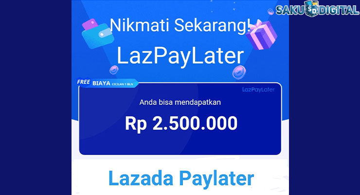 Fungsi Lazada Paylater