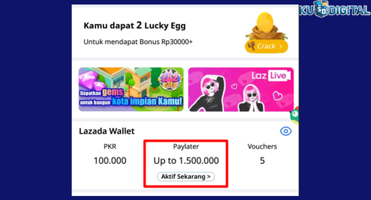 Limit Lazada Paylater