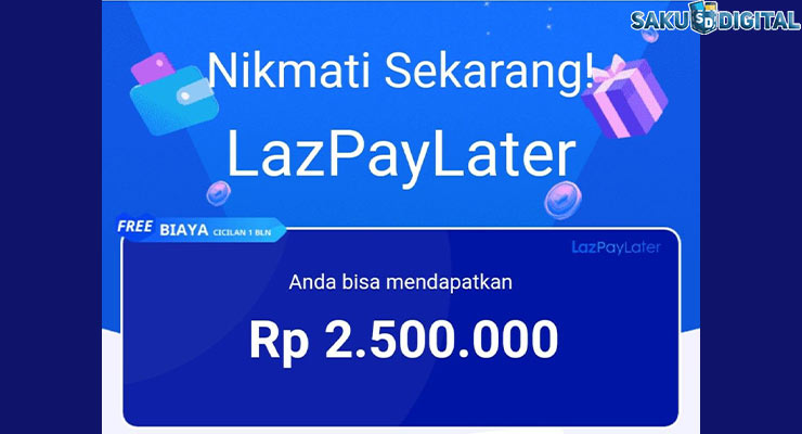 Apa Itu Limit Paylater