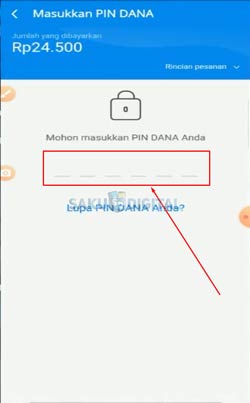 9 Input PIN DANA