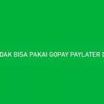 TIDAK BISA PAKAI GOPAY PAYLATER DI TOKOPEDIA