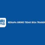 Kenapa BRImo Tidak Bisa Transfer