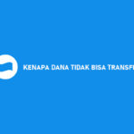 Kenapa DANA Tidak Bisa Transfer